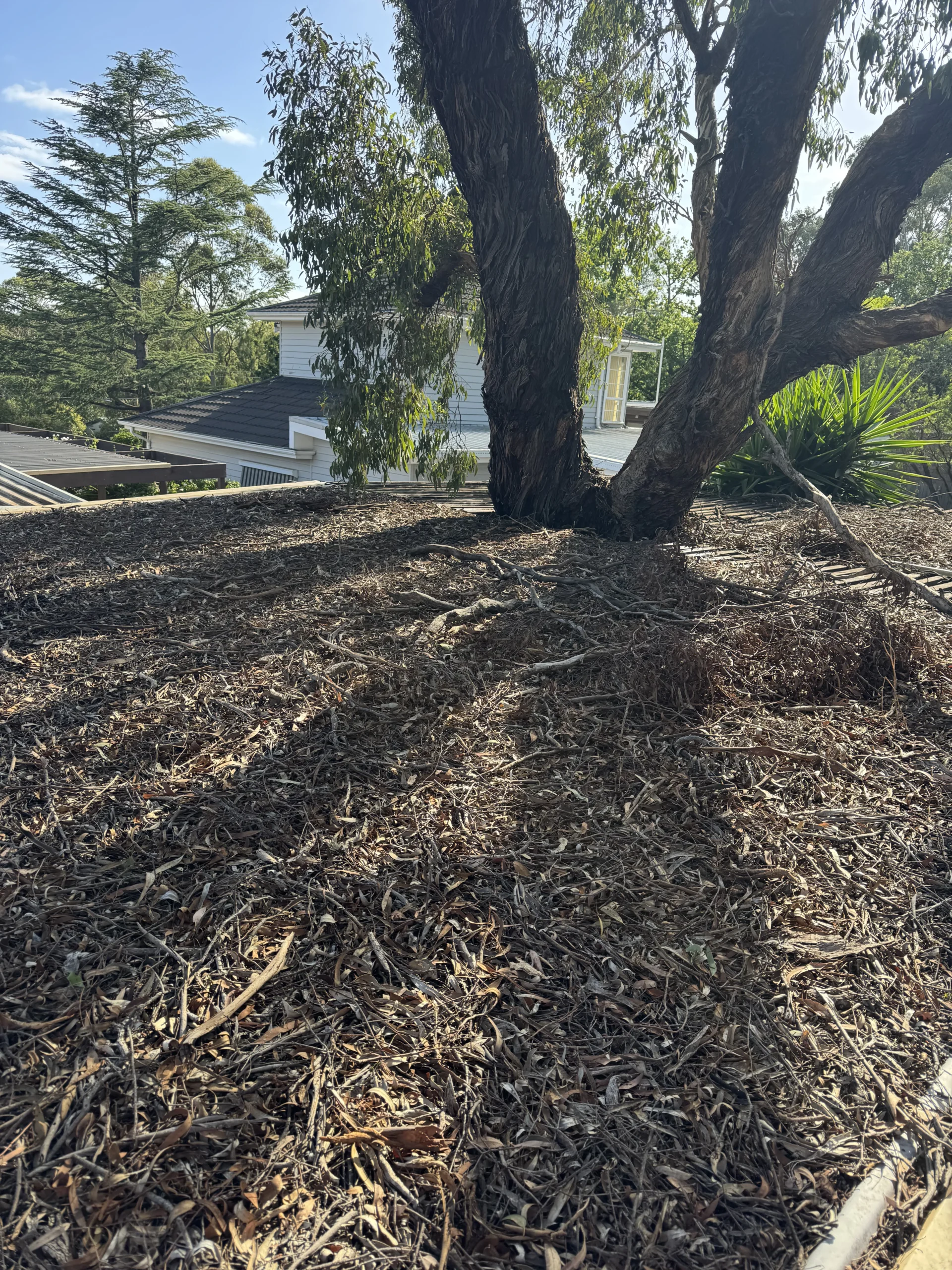 Before and after comparison of a residential gutter cleaned by TOP GUTTER PRO in Melbourne, highlighting superior cleaning services.